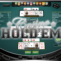 Casino Holdem Pro